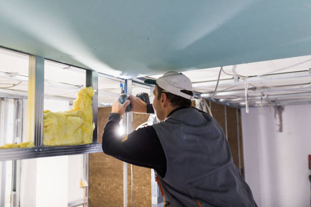Best Insulation Installation Services in Lake Crystal, MN