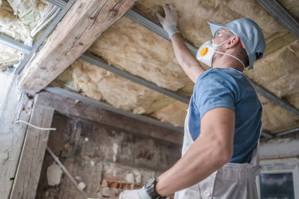 Best Insulation Installation Services in Lake Crystal, MN