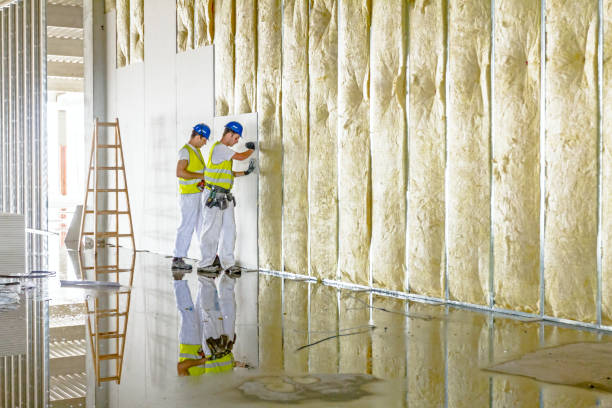 Best Insulation for Specific Applications in Lake Crystal, MN